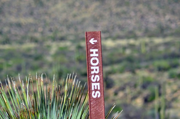 16628994590_3df176ab1f_k