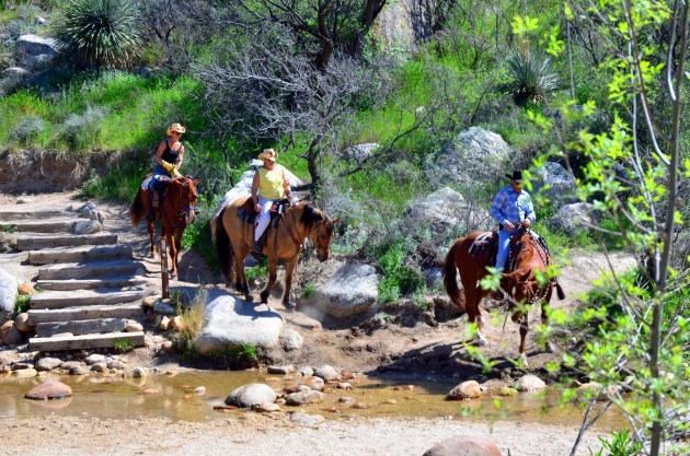 16790457826_df753feed4_k