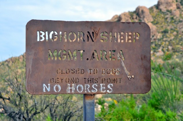 16849216835_0a8c33298f_k