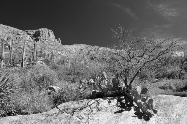 16928972812_7d66280252_k