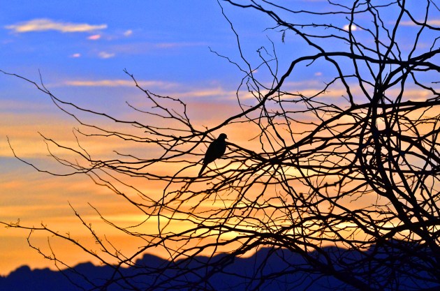 16966418031_d2f8a71f22_k