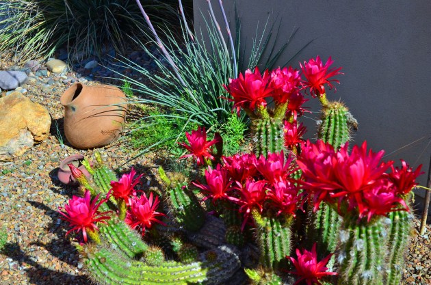 16991212271_809a429dba_k