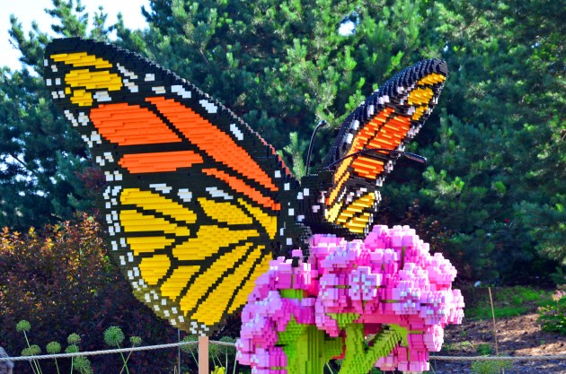 19154325811_79903df877_k