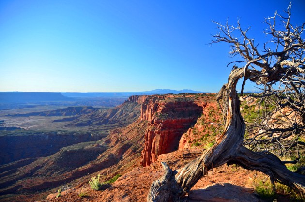 26269422514_b6e4cba67d_k