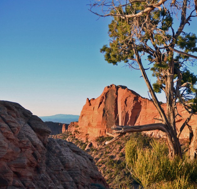 26269433824_b937e237d0_k_edited-1